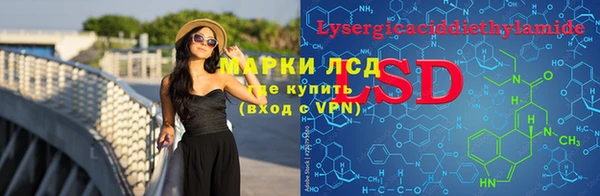 сатива Баксан