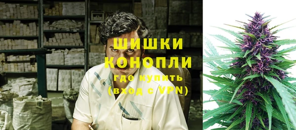 стаф Балахна