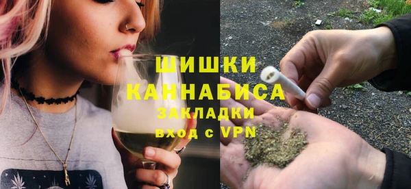 сатива Баксан