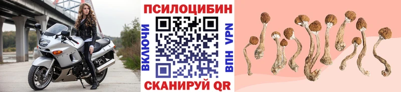 Псилоцибиновые грибы Psilocybine cubensis  что такое наркотик  Белинский 